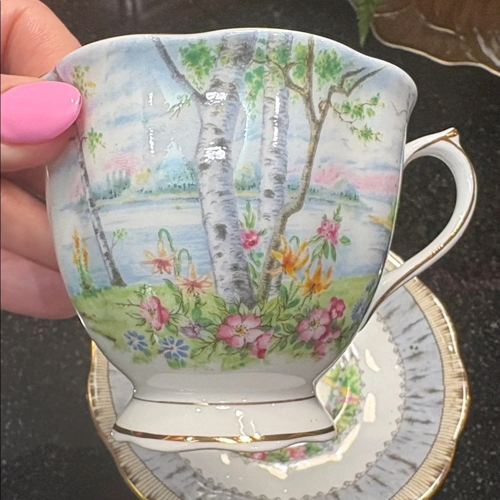 Vintage Royal Albert Floral Silver Birch Bone China Cup & Saucer with Gold Trim